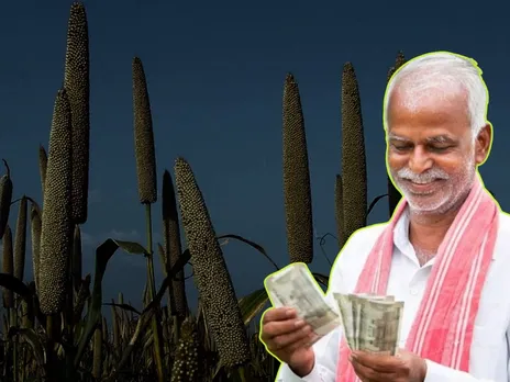 Sarkari Yojana : अब इस फसल पर भी बोनस, मिलेंगे इतने हजार रुपये