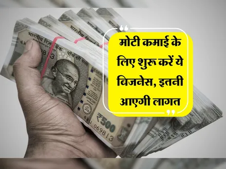 Business Idea : मोटी कमाई के लिए शुरू करें ये बिजनेस, इतनी आएगी लागत