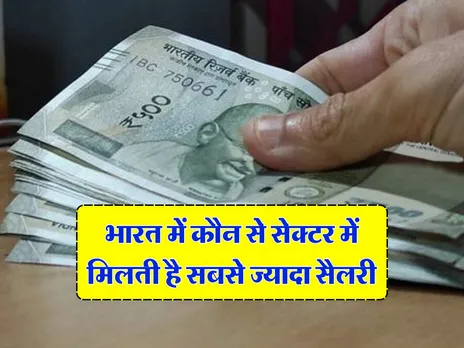 Salary : भारत में कौन से सेक्टर में मिलती है सबसे ज्यादा सैलरी