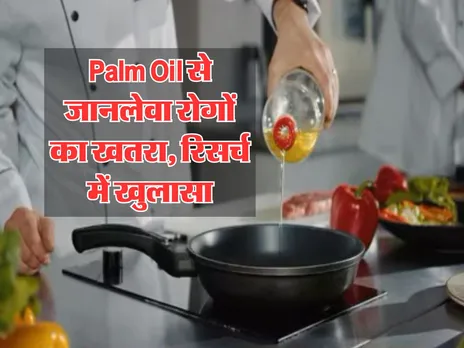 Palm Oil से जानलेवा रोगों का खतरा, रिसर्च में खुलासा