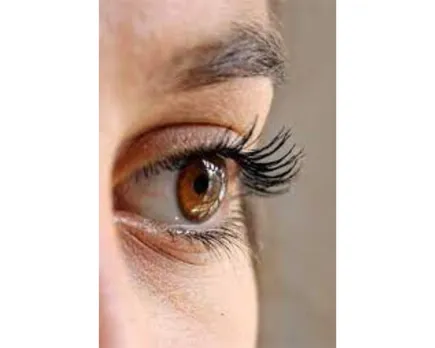 Eyes (inandout.org.in).png 