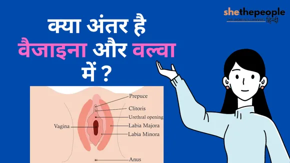 Vagina And Vulva