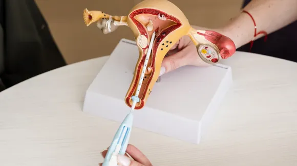 Periods infection b