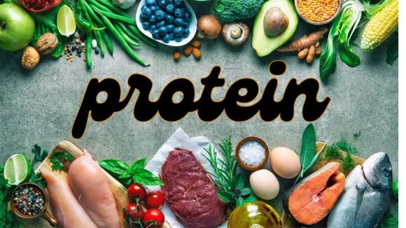 Protein egg