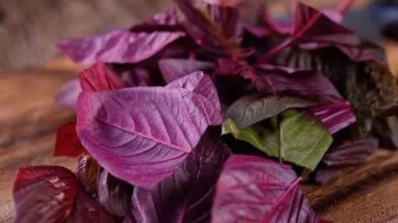 Spinach 