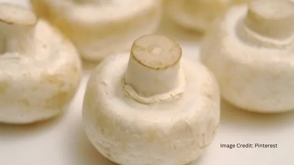 Mushroom Dishes