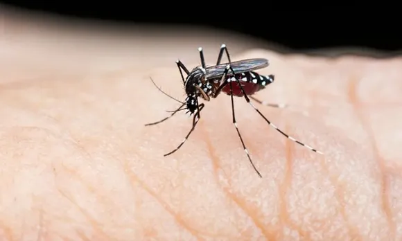 First case of Japanese encephalitis virus confirmed in Delhi