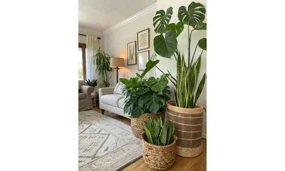 5 Easy And Stylish Ways To Decorate Your Home