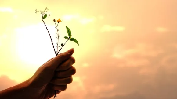 graatitude