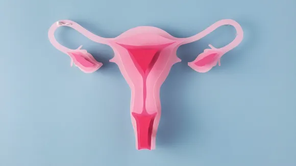 Uterus health