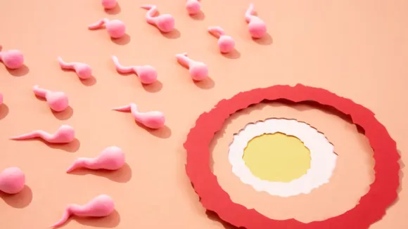 Egg Freezing