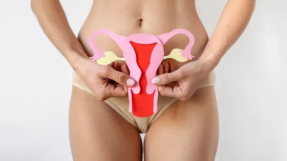What Are The 5 Reasons For Inflammation In The Uterus Of Women