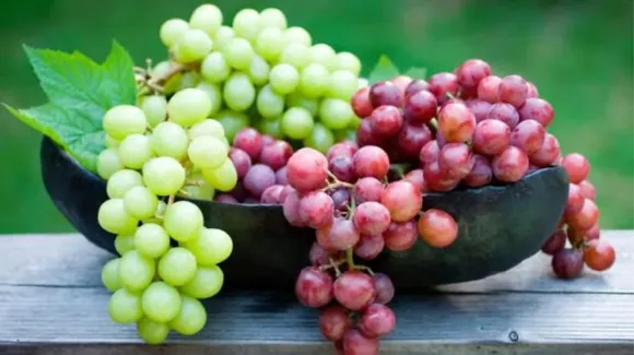 Grapes Benefits In Winters