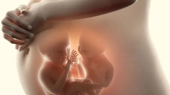 Superfetation