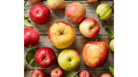 (BBC Good Food) Apple.png