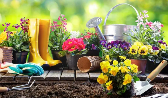 Gardening(Good House Keeping)