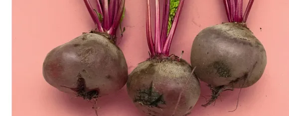 Beetroot 