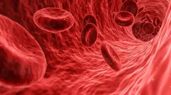 Increase haemoglobin 