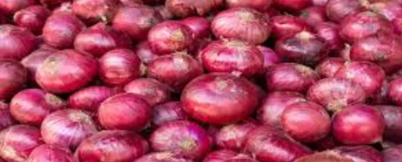 raw onions