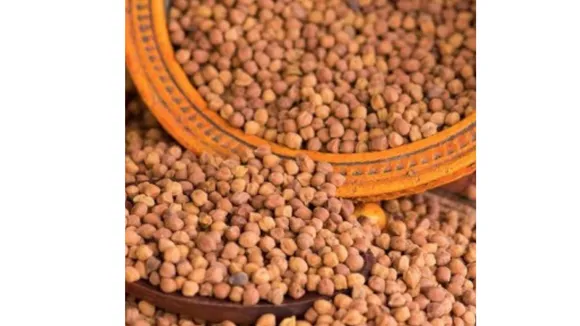 Gram (Jivabhumi).png