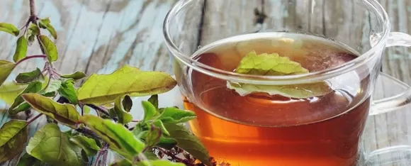tulsi tea