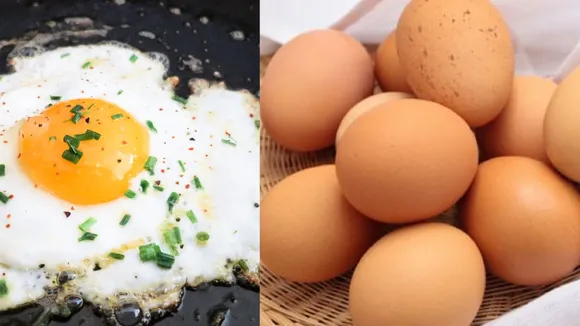 Egg Benifits 
