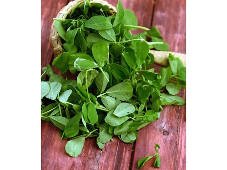 Fenugreek.png