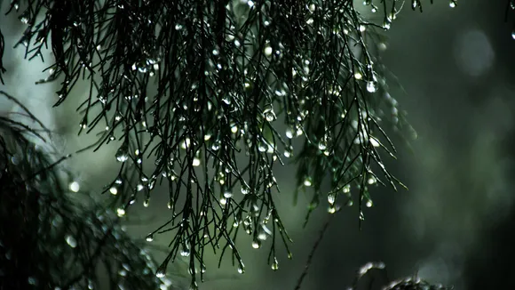Rainfall
