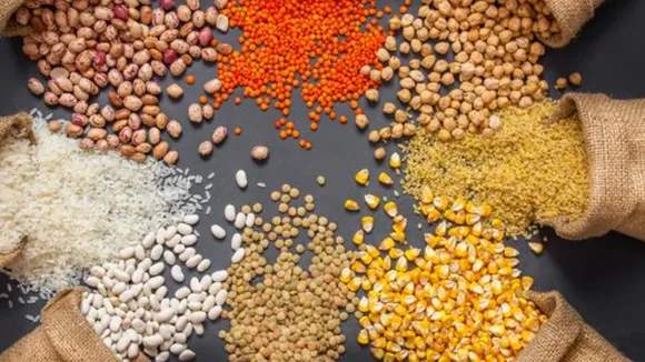 Plant Based Protein (Pintrest)