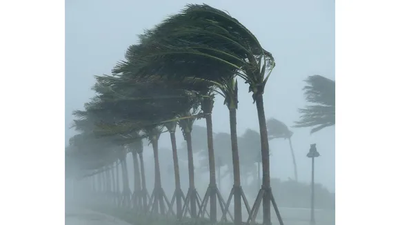Storm (DW).png