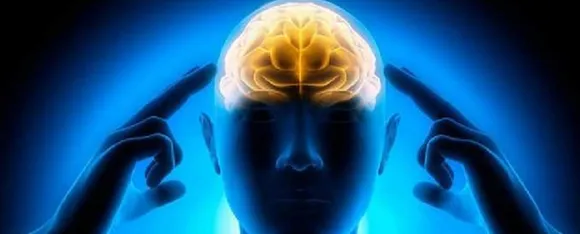 These 5 Things Make The Brain Weak