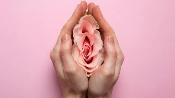 Understanding the Difference Between Vagina and Vulva