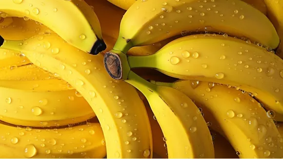 Bananas for breakfast 