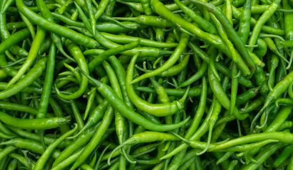 Chilli Benefits (Onmanorama.com).png