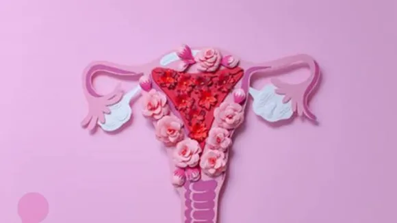 Ovary (PInterest).png