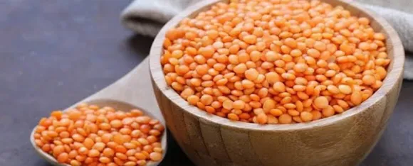 मसूर दाल 