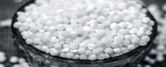 sabudana