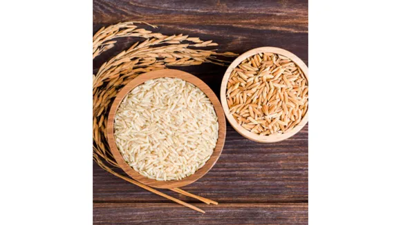 Brown rice(Adobe Stock).png