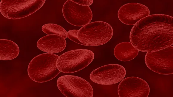blood).png