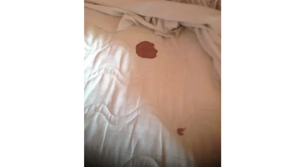 Periods (Seasunliners).png