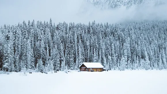 Snowfall(Unsplash)