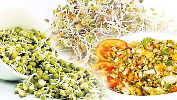 Sprouts 