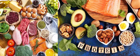 Protein Diet