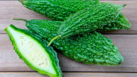 bitter gourd