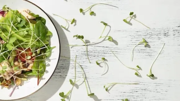 Sprout