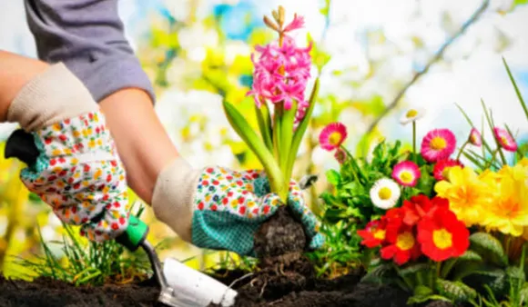 Garden Care (Times Of India.com).png