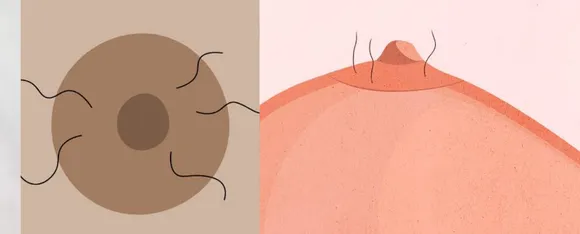 Nipples Hair 