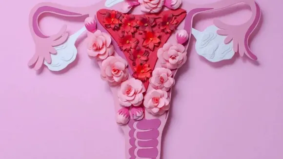Things about Vagina that are normal
