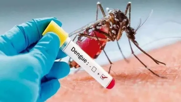 7 effective way to increase platelets count during dengue