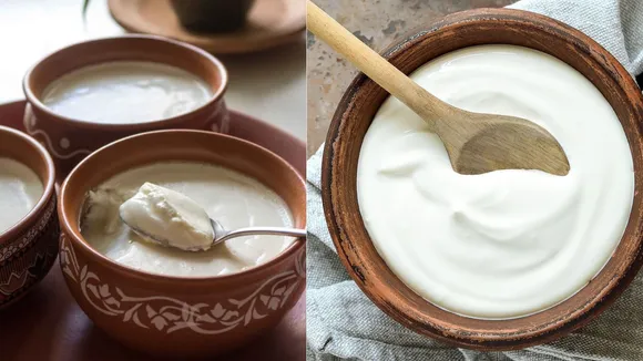 Benefits Of Curd And 5 Simple Dish